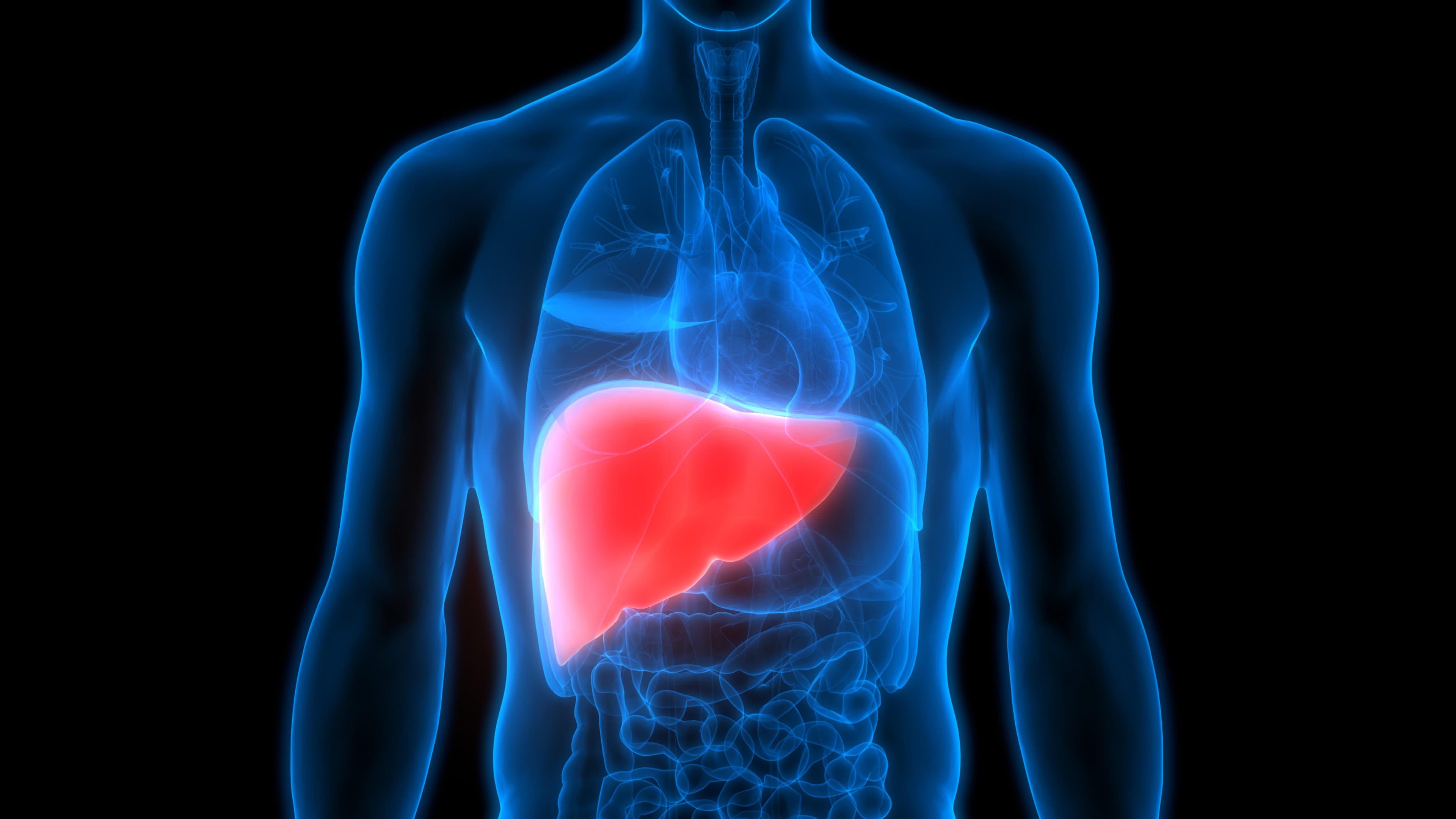 Expert Tips: How to Spot Fatty Liver Before It Gets Serious!