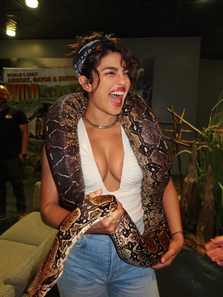 Priyanka Chopra’s Bold Photoshoot With Real Python Creates Buzz Ahead of SSMB29