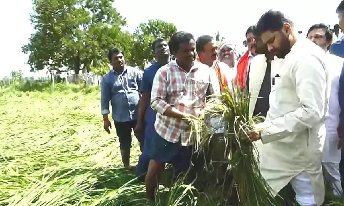 Pawan Kalyan Steps into the Mud for Farmers – AP Deputy CM Personally Inspects Cyclone-Hit Fields