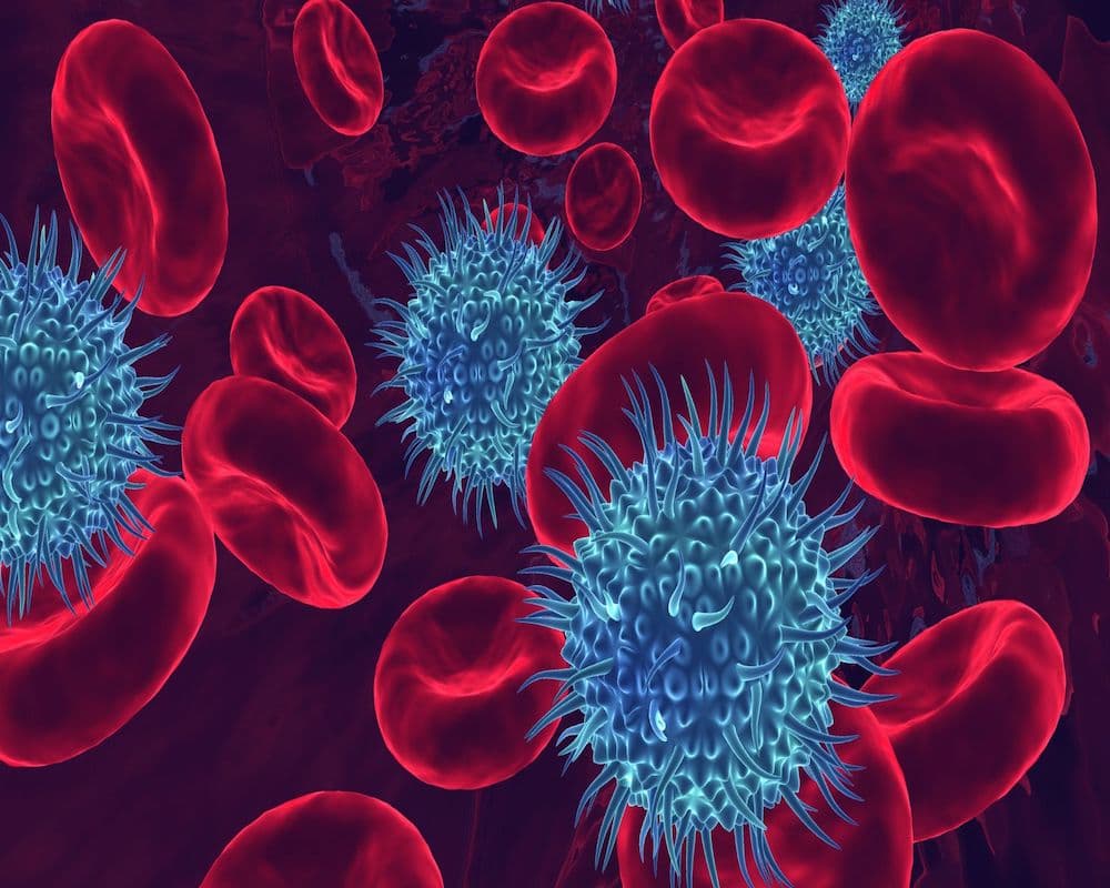 Shocking Rise in Blood Infection Cases – Here’s What’s Really Happening!