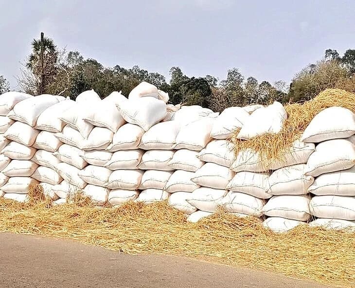 Bihar Elections Impact Telangana Farmers: Paddy Procurement Stalls Due to Labor Shortage!