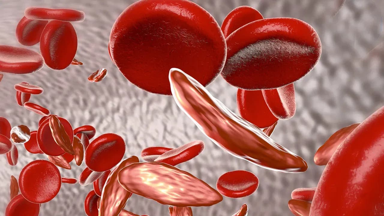 If Infection Enters the Blood, the Body Shows Alarming Signs — Ignoring Them Can Damage Organs!