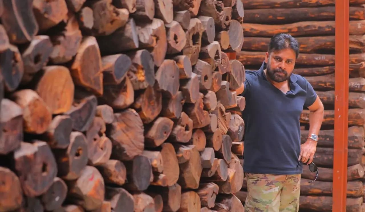 Turning Seized Wood into Stunning Artworks!