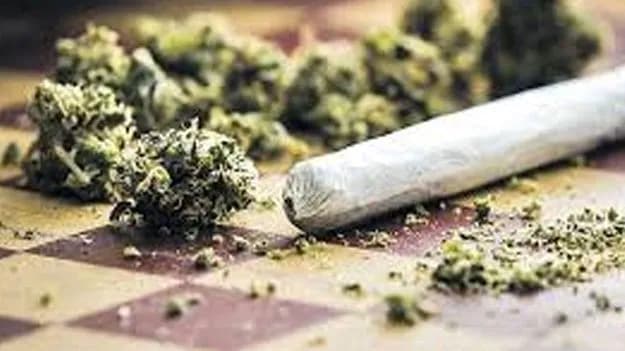 Ganja Gang Creates Chaos at Nizampet Rajiv Gruha Kalpa – Two Attacked, Police Launch Probe