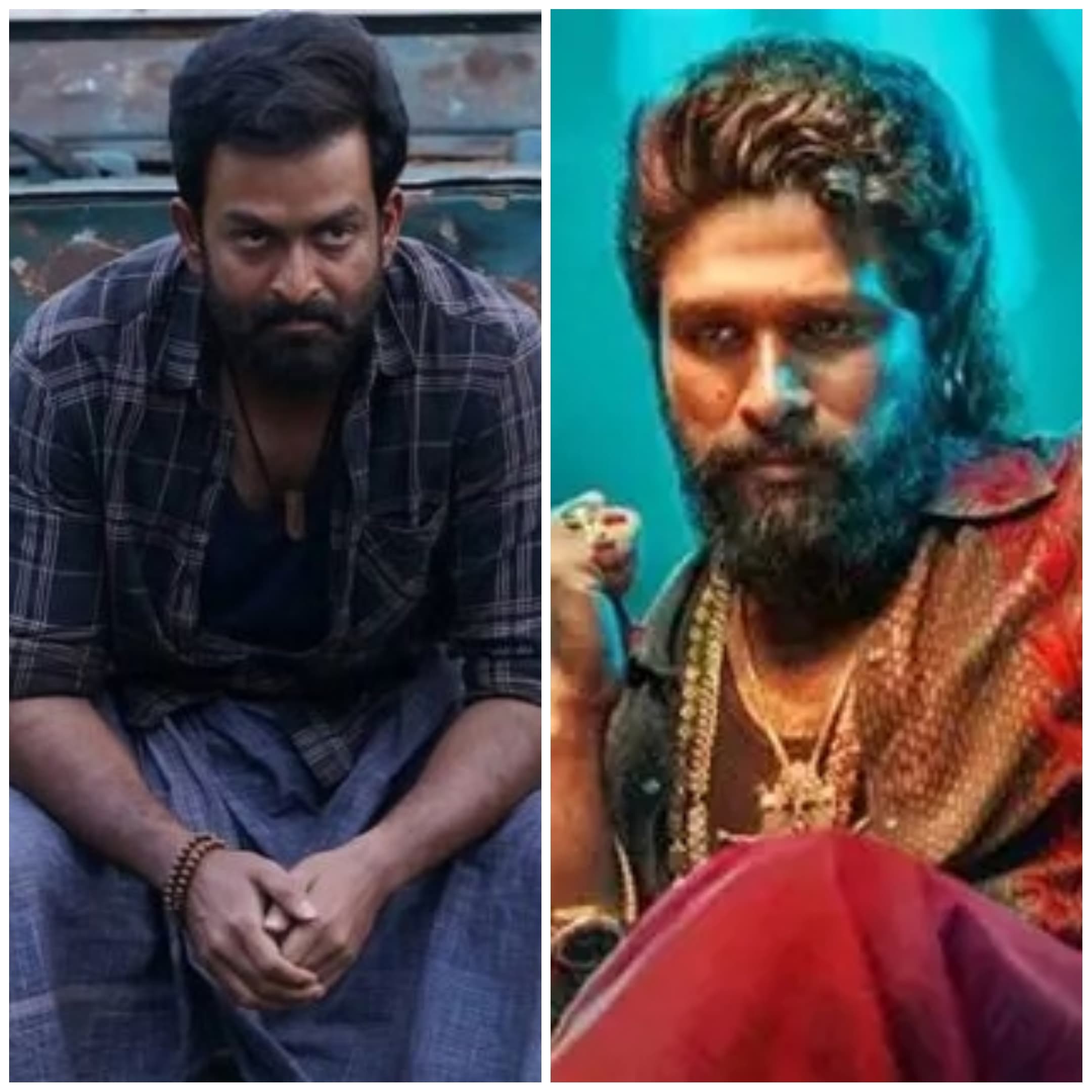 Is It Another Pushpa? Buzz Around Prithviraj’s ‘Vilayath Buddha’ Sparks Comparisons!