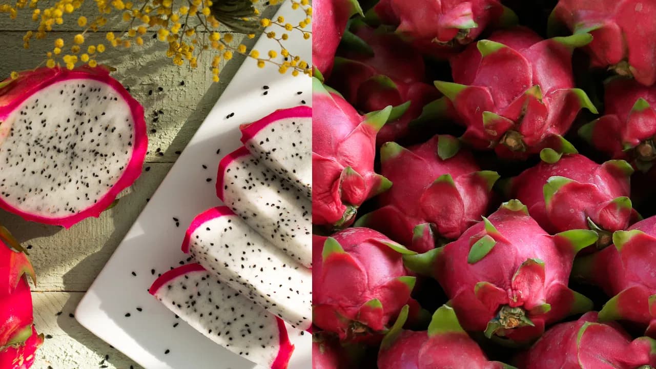 Dragon Fruit Benefits: A Fruit That Must Be Eaten by People with These Health Issues!