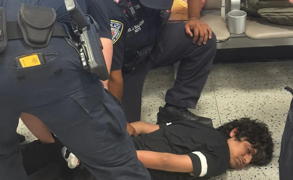 NRI Student Arrested in Mid-Air Assault