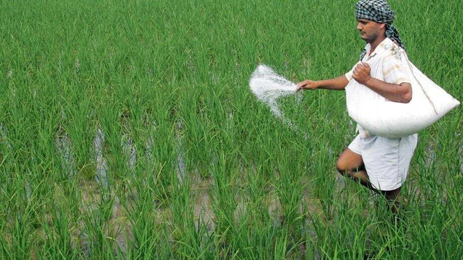 Distribution of urea to cultivated lands: Telangana government