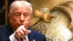 Trump Focuses on Our Rice Issue