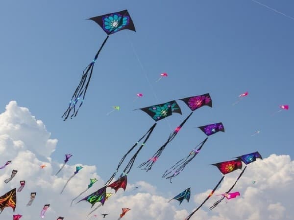 Kite festival from January 13, the government is making the arrangements