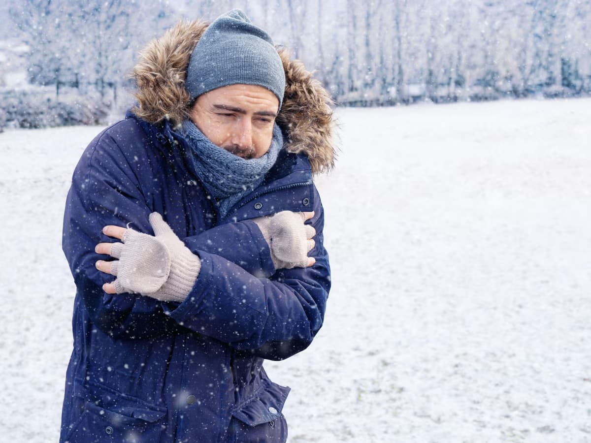 Brown Fat That Burns Calories in the Body, Study Reveals