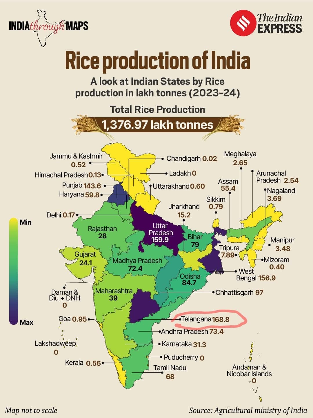 Telangana’s Rapid Rise in Paddy Production !
