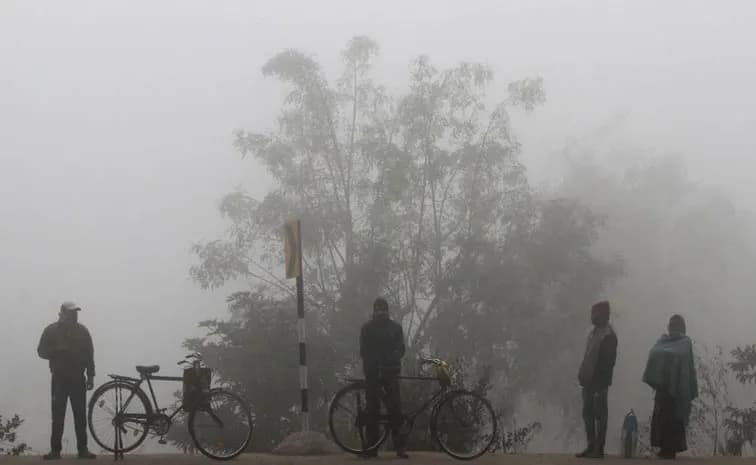 Dense Fog Alerts Issued in Andhra Pradesh