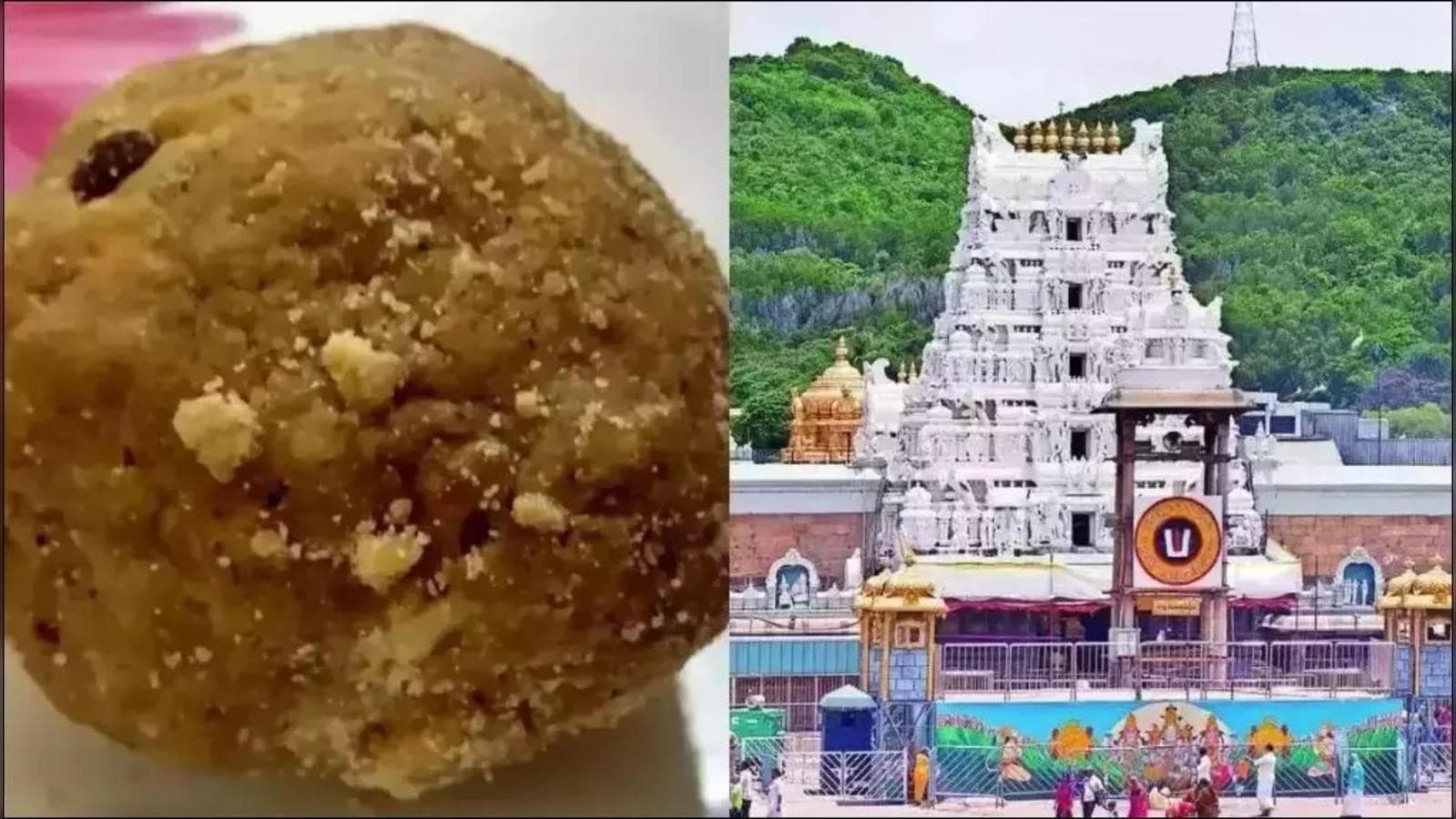 Adulterated Ghee Used In Tirumala Prasadam Preparation: SIT