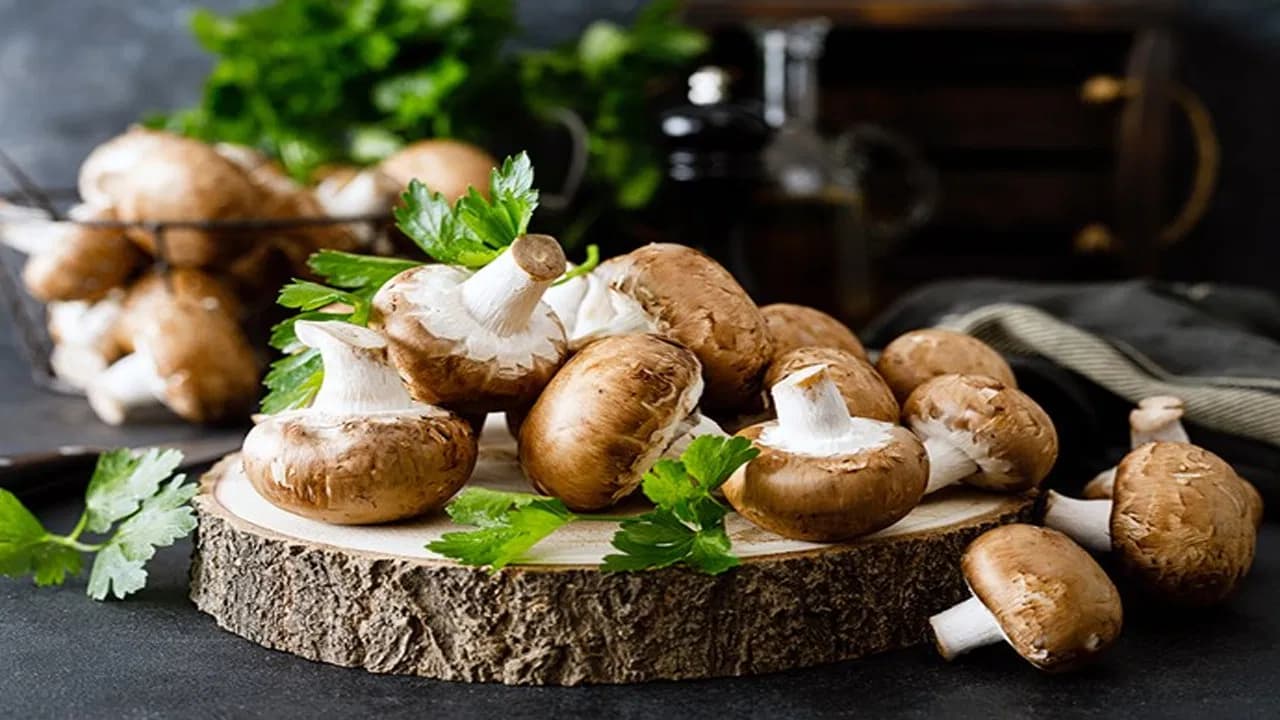 Doctors Highlight the Pros and Cons of Consuming Mushrooms