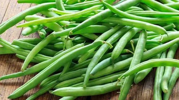 Health Benefits of Eating Beans – Doctors 