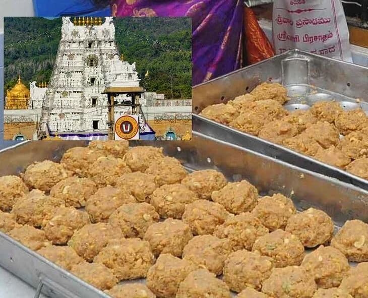 SIT seeks action against three officials in adulterated ghee case