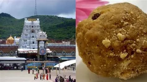 Dangerous Chemical Used in Adulterated Ghee Supplied to Tirumala:Shocking Revelations in SIT Probe!