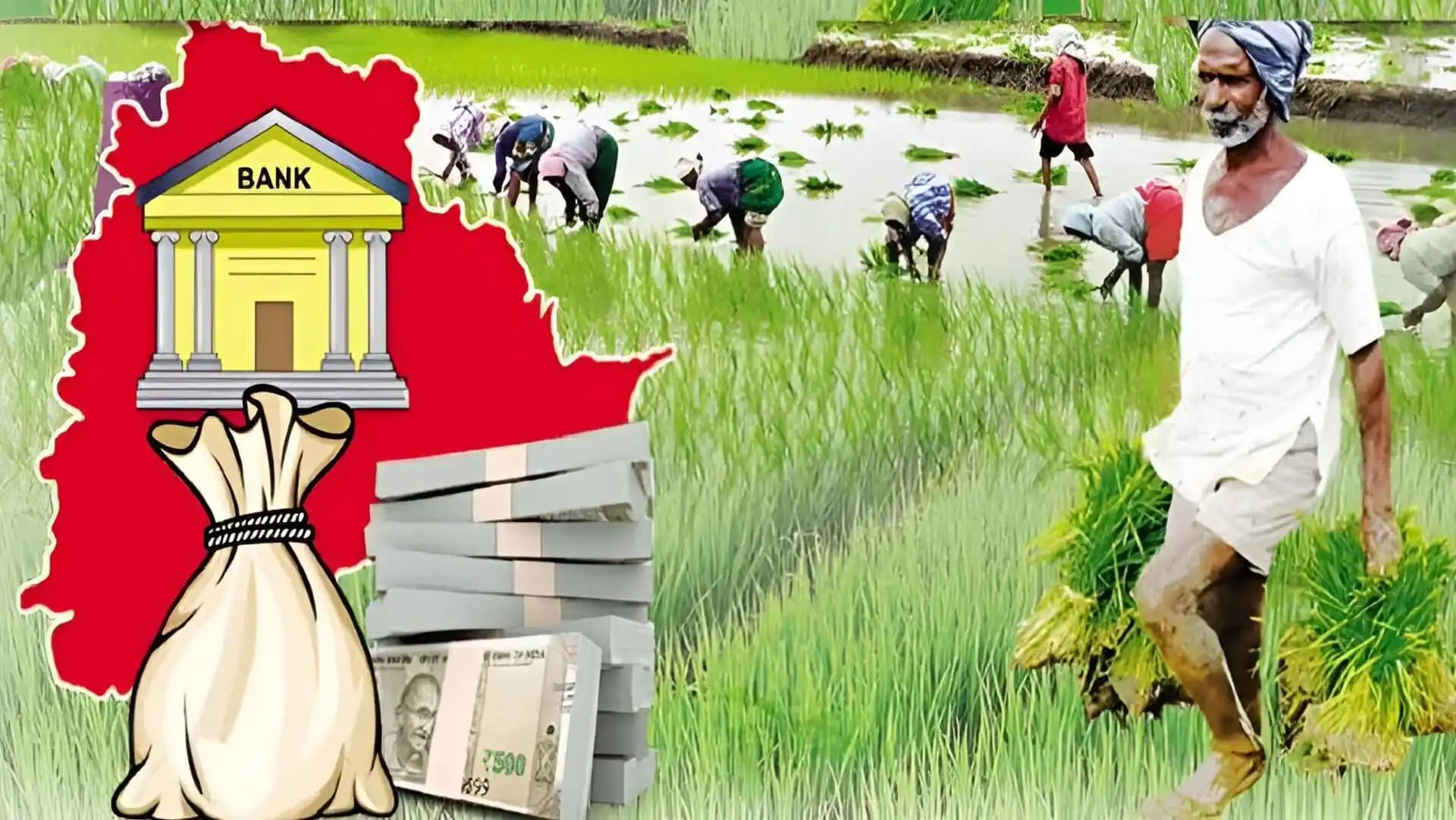 Telangana government releases paddy bonus for farmers