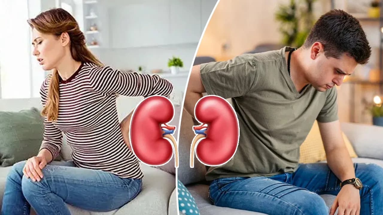 Experiencing Frequent Swelling? Doctors Share Key Insights on Kidney Health