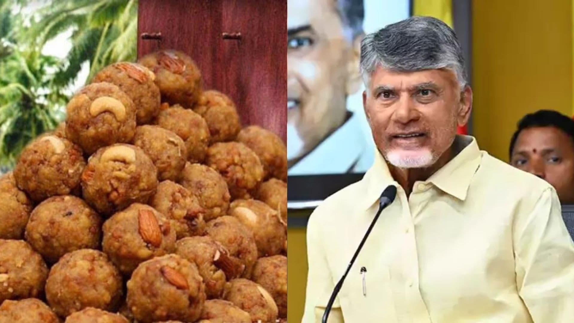 There Is a Conspiracy Angle in Adulterated Ghee – AP CM Chandrababu