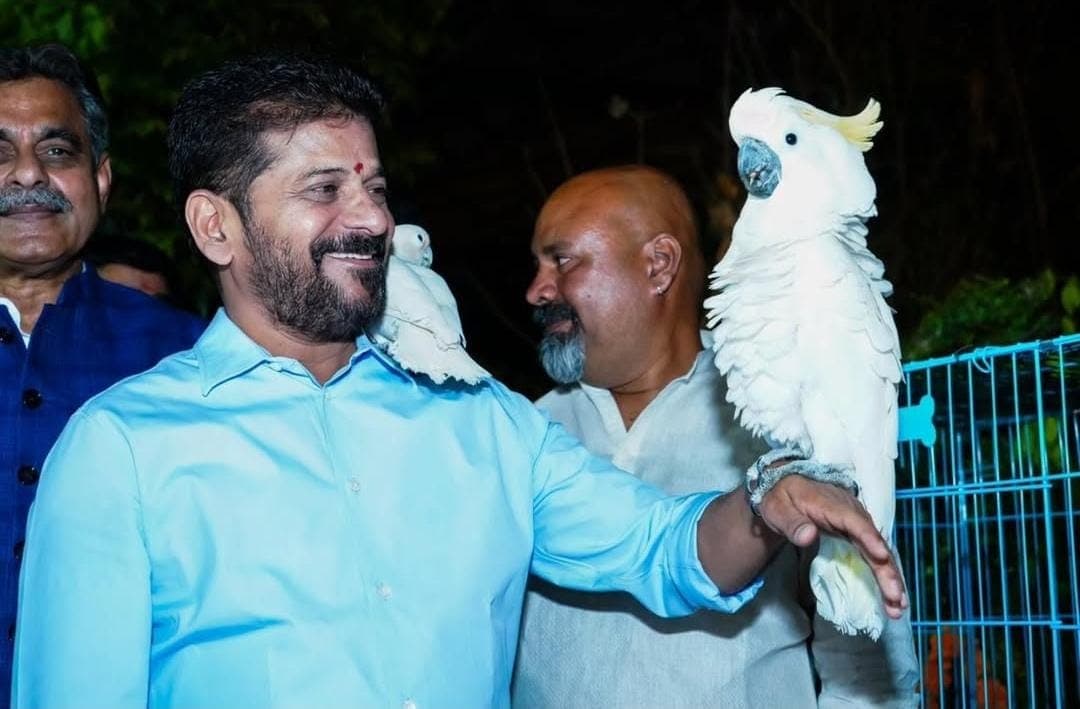 Chief Minister Revanth Reddy Inaugurates Eco Hill Park in Kokapet