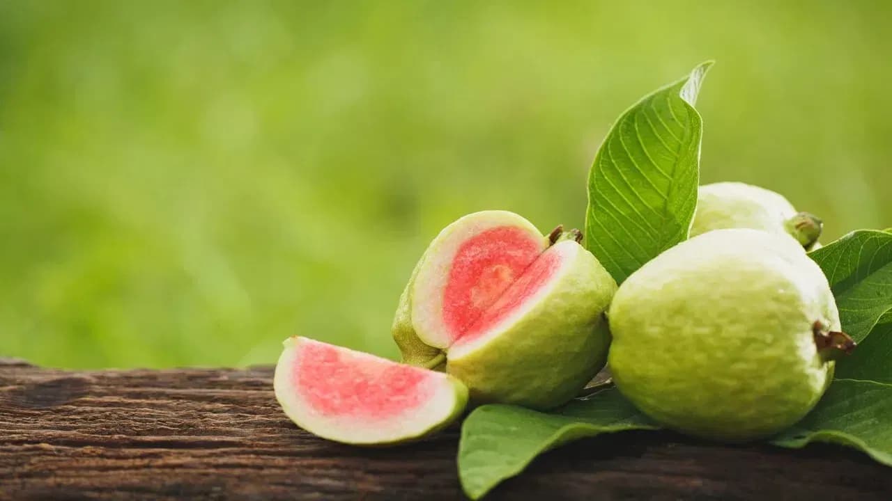 Benefits of Eating Guava Daily, Say Doctors