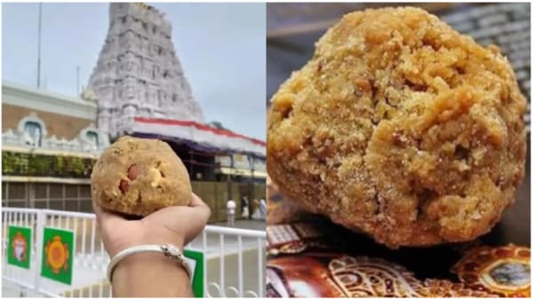 Commission Begins Probe into Tirumala Laddu Adulteration