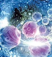 Breakthrough Study on Cellular Behavior Unveiled