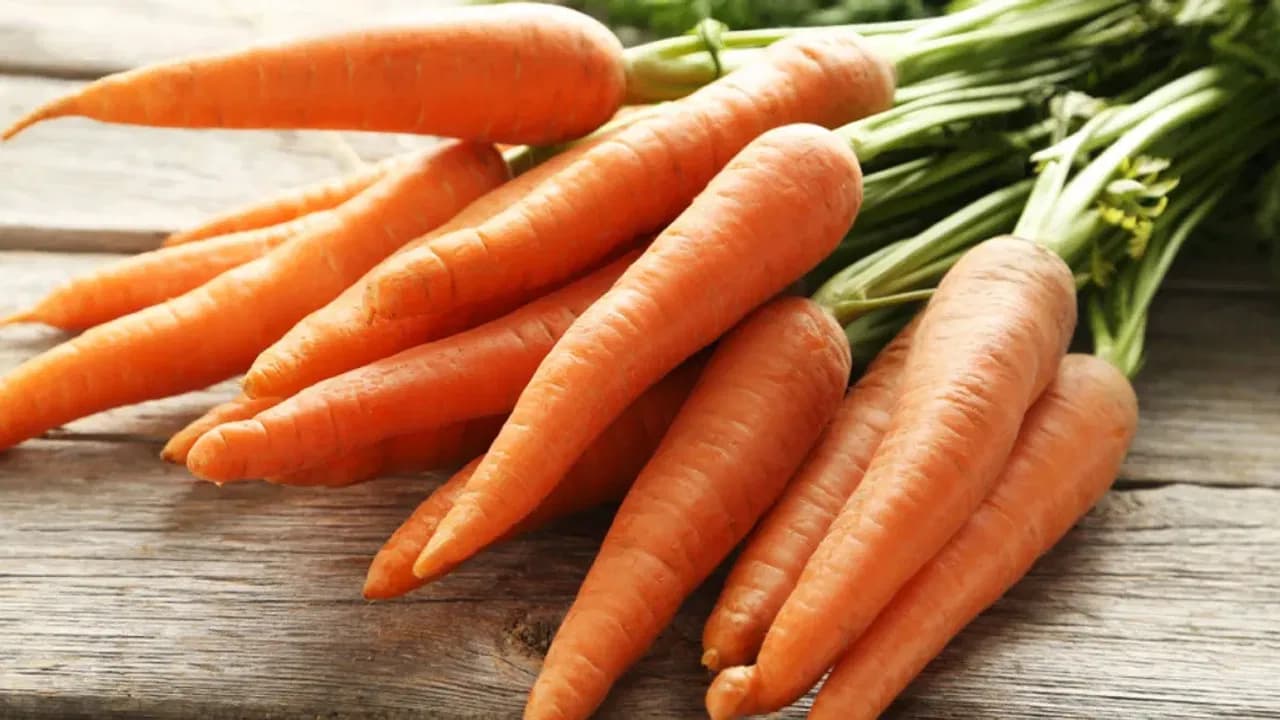 Carrots Essential for Children’s Growth… Doctors’ Opinion