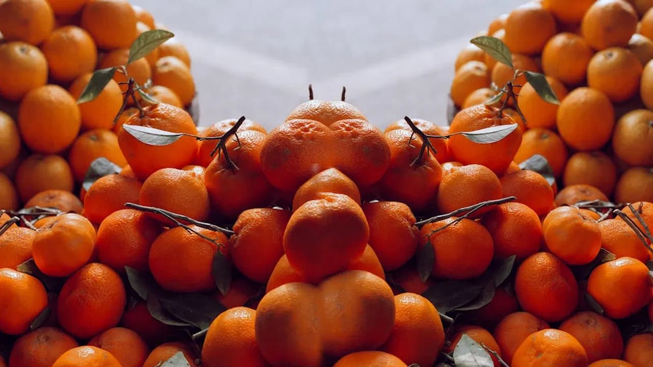 Including Oranges in the Diet is Essential: Medical Experts Advise