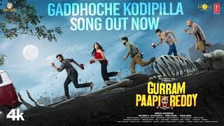 Gaddhoche Kodipilla Video | Gurram Paapi Reddy | Naresh Agastya,Faria | Murali | Krishna Saurabh