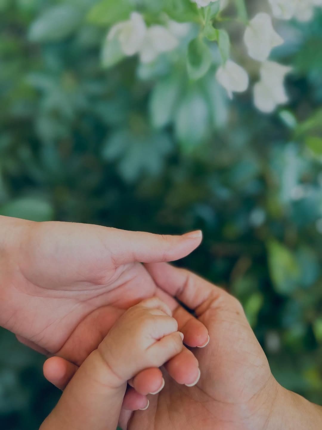 Katrina Kaif and Vicky Kaushal Reveal Their Baby Boy’s Name!